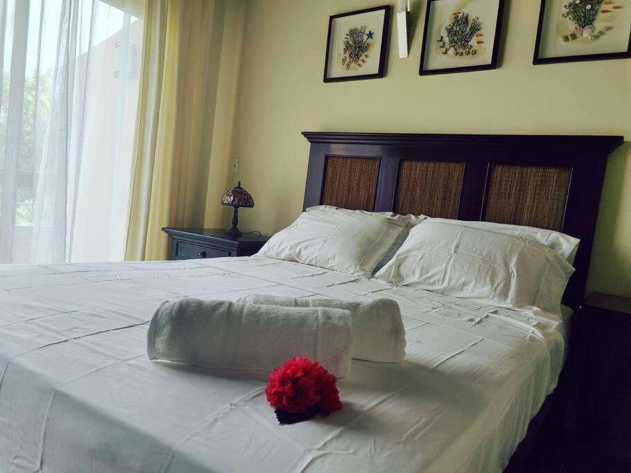 Aruba Family Oasis 2Br Pool 3Min Walk To Eagle Beach Palm Beach Extérieur photo