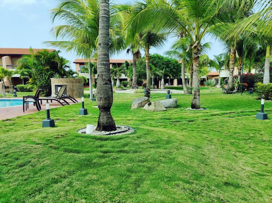 Aruba Family Oasis 2Br Pool 3Min Walk To Eagle Beach Palm Beach Extérieur photo