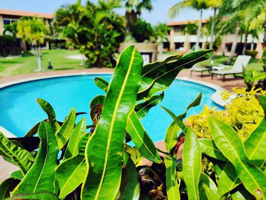 Aruba Family Oasis 2Br Pool 3Min Walk To Eagle Beach Palm Beach Extérieur photo
