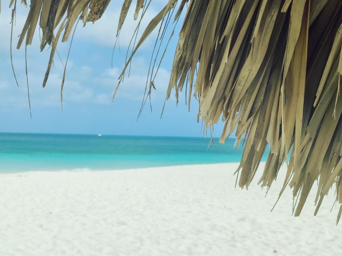 Aruba Family Oasis 2Br Pool 3Min Walk To Eagle Beach Palm Beach Extérieur photo