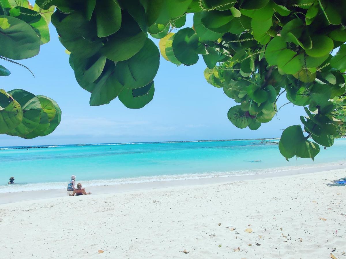 Aruba Family Oasis 2Br Pool 3Min Walk To Eagle Beach Palm Beach Extérieur photo
